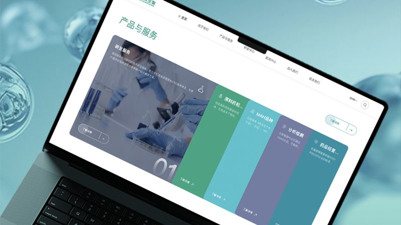 手机网站模板定制：如何选择适合自己的厂家直销方案**