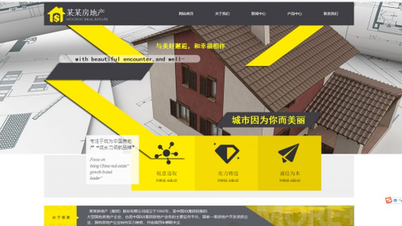 网站托管服务评价标准
